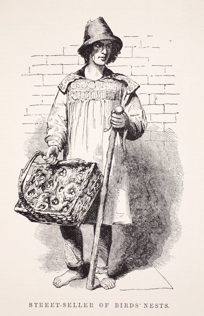 Pouliční prodavač ptačích hnízd, ilustrace z London Labor and London Poor od Henryho Mayhewa, hospoda. 1862 od English School