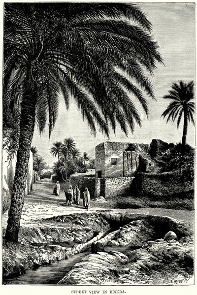 Straßenansicht in Biskra von English School