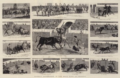 Nedělní odpoledne v Bull Ringu v Madridu (rytina) od English School