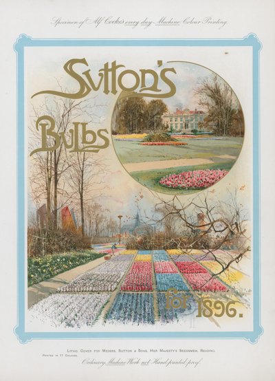 Suttons Bulbs pro rok 1896 od English School