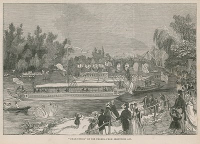 Swan-uping na Temži od English School