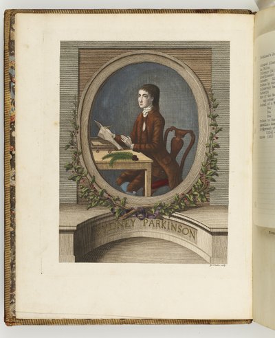 Sydney Parkinson, ilustrace z 