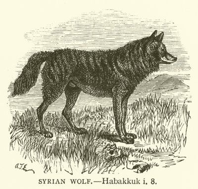 Syrský vlk, Habakuk, i, 8 (rytina) od English School