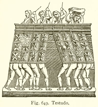 Testudo od English School
