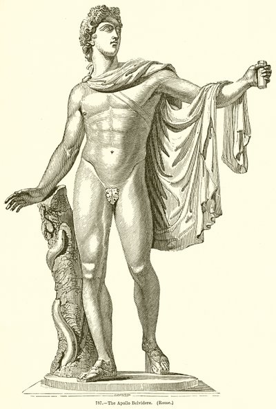 Apollo Belvidere. (Řím) od English School
