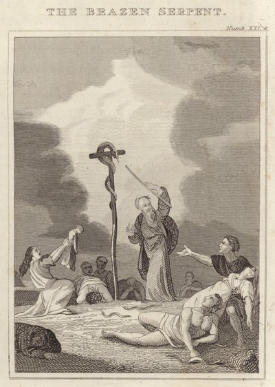 Drzý had od English School