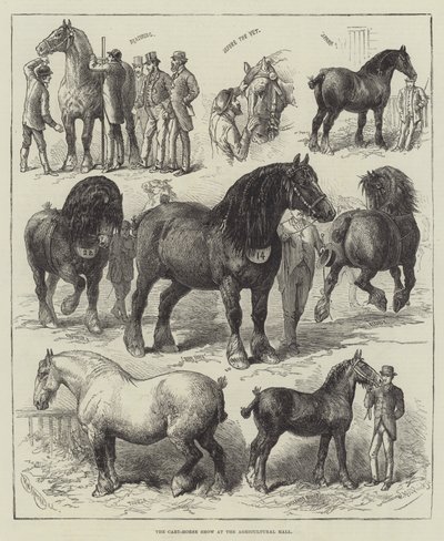 Cart-Horse Show v Agricultural Hall (rytina) od English School