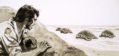 Trosečníci: Terror of Turtle Island od English School