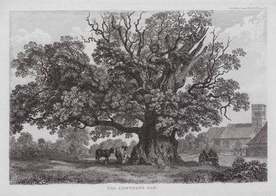 The Cowthope Oak (rytina) od English School