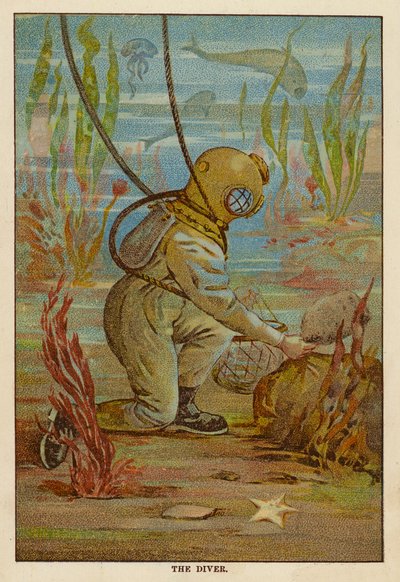 Potápěč (barevná litografie) od English School