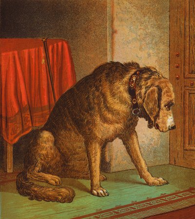 Doktorův mazlíček (barevná litografie) od English School
