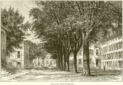 The Elms, Yale University od English School
