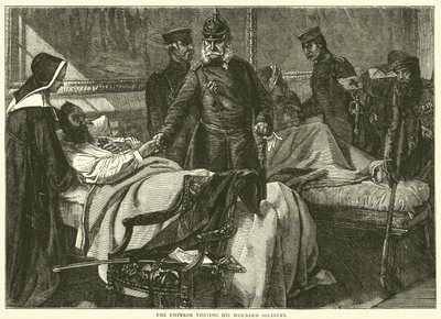 Císař na návštěvě u svých zraněných vojáků, květen 1871 od English School