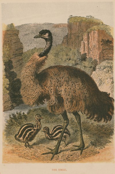 Emu od English School