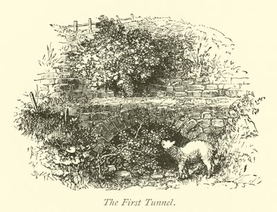 První tunel od English School