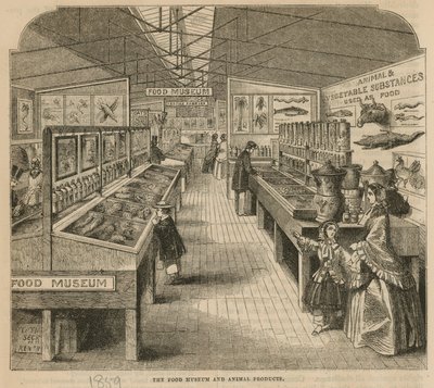 Muzeum potravin a živočišných produktů, South Kensington Museum od English School