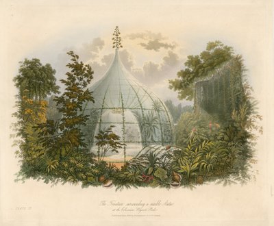 Fontána obklopující mramorovou sochu v Koloseu, Regents Park od English School