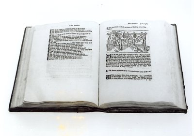 Liška a hrozny, z ilustrovaného překladu Ezopových bajek od Williama Caxtona (c.1422-91) 1434 od English School