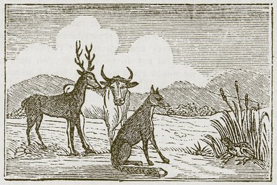 Der Frosch und der Fuchs (Gravur) von English School