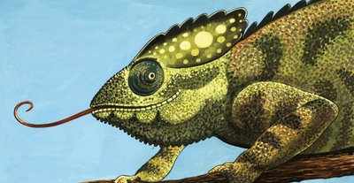 Obří chameleon od English School