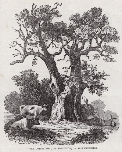 The Gospel Oak, Stonleigh, Warwickshire (rytina) od English School