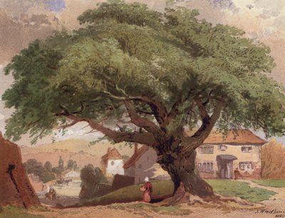 The Great Ash, scéna v Surrey (barevné lito) od English School