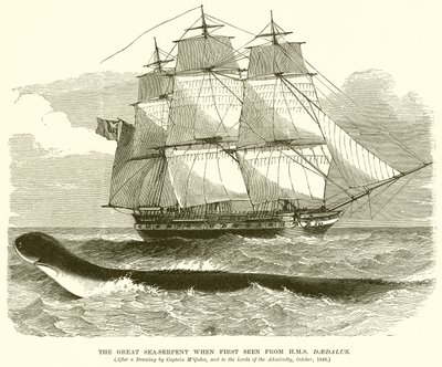 Velký mořský had při prvním pohledu z H.M.S. Daedalus od English School