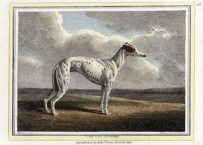 The Greyhound, hospoda. 1812 (ručně kolorovaná rytina) od English School