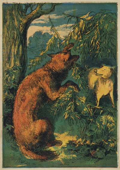 Dům Furze (barevné lito) od English School