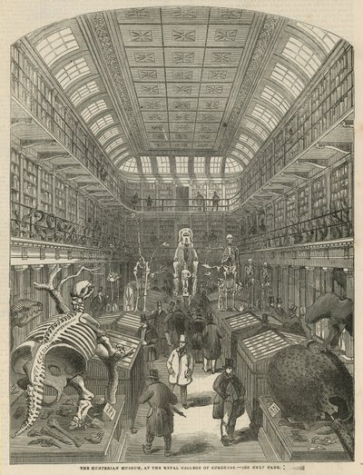 Hunterian Museum na Royal College of Surgeons od English School