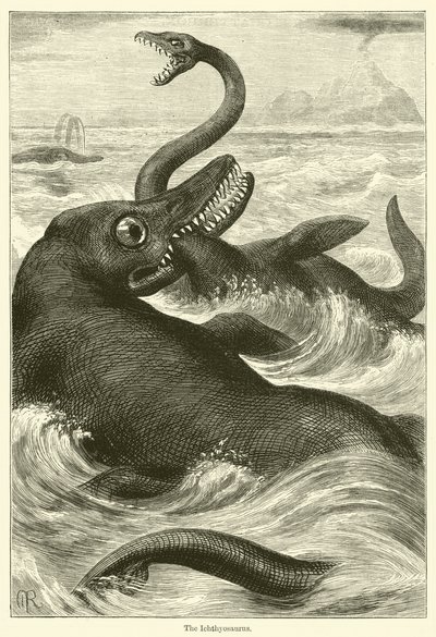 Ichtyosaurus (rytina) od English School