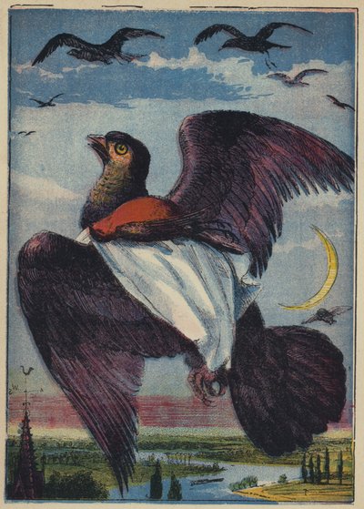 Drak a kohout Robin (barevná litografie) od English School