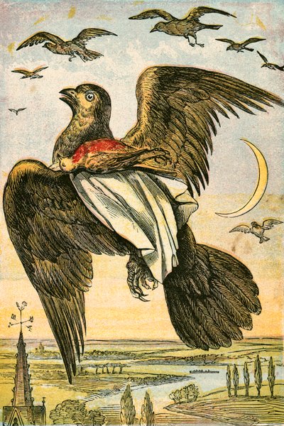 Kite and Cock Robin od English School