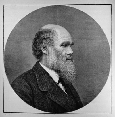 Zesnulý pan C. R. Darwin, FRS, LLD, z The Illustrated London News, 29. dubna 1882 od English School