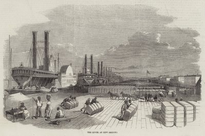 Levee v New Orleans od English School