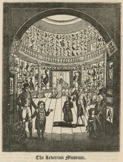 Leverian Museum od English School