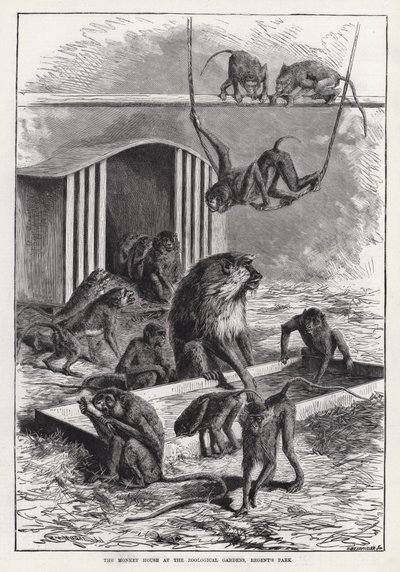 Opičí dům v zoologické zahradě, Regent