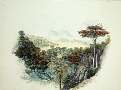 The Mountains, Ceylon (akvarel na papíře) od English School