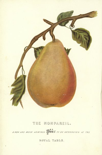 Nonpareil od English School