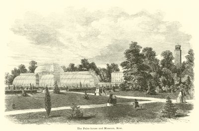 Palmový dům a muzeum, Kew od English School