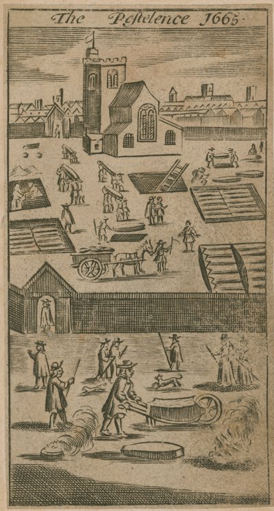 The Petelence 1665 od English School
