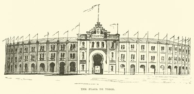 Býčí aréna od English School