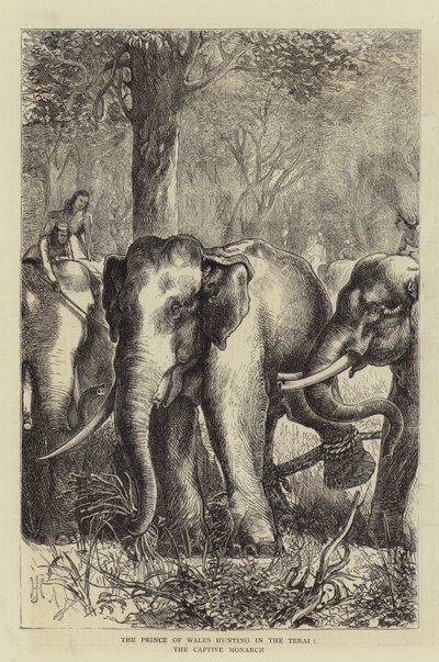 Princ z Walesu na lovu v Terai, zajatý monarcha (rytina) od English School