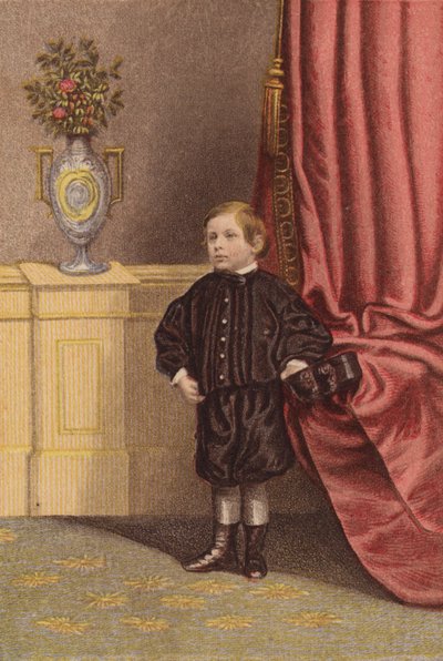 První vnouče královny (barva lito) od English School