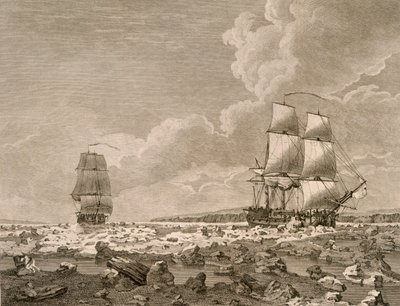 Dostihový kůň a mršina se tlačí ledem, 10. srpna 1773, z Cesty k severnímu pólu, kterou podniklo Velitelství Jeho Veličenstva v roce 1773, publikováno v Londýně 1774 od English School
