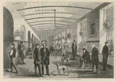 Královská nemocnice v Betlémě - galerie pro muže od English School