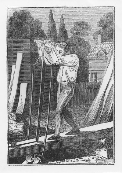 The Sawyer, z The Young Tradesman nebo Book of English Trades, 1839 od English School