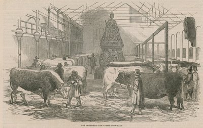 Smithfield Club Cattle Show Yard od English School
