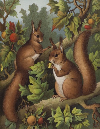 The Squirrel Tree (chromolitho) od English School