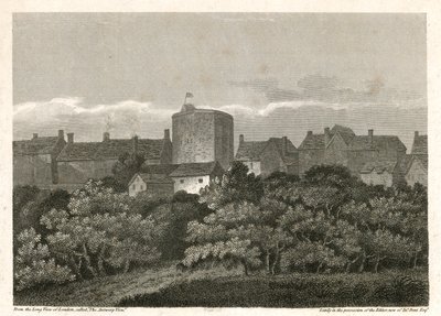 Swan Theatre na Bankside, jak se objevilo v roce 1614 našeho letopočtu od English School
